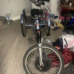 Electric Trike 