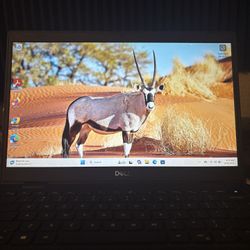 Dell i5-11th Gen Windows 11 Webcam, 8 Gb Ram