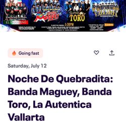 Noche De Quebradita: Banda Maguey, Banda Toro, La Autentica