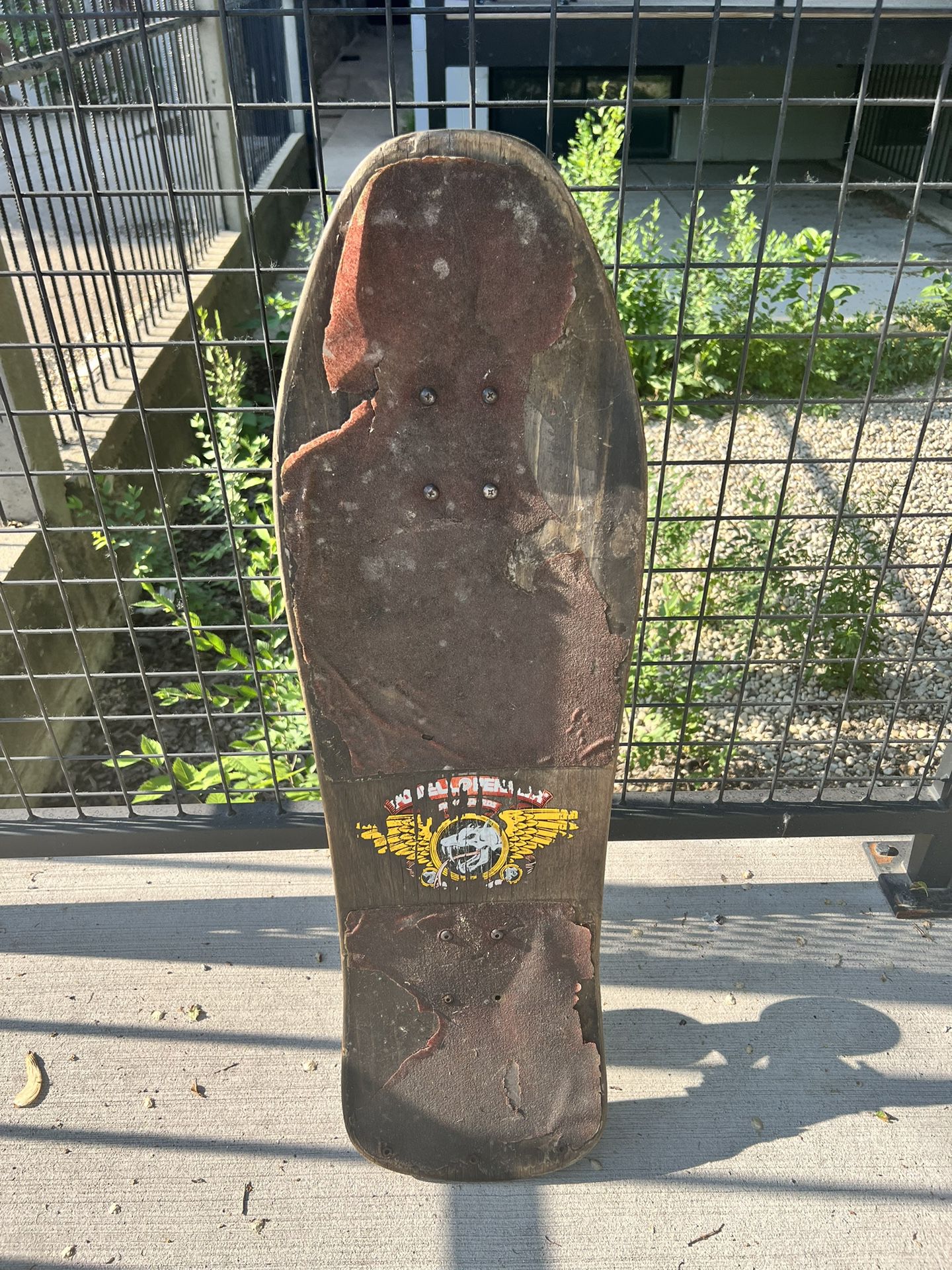 Vintage 1990 Powell Peralta Mike Mcgill Stinger Skateboard for Sale in ...