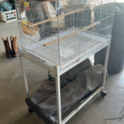 Bird Cage