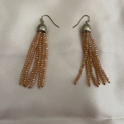 Beaded Earrings 💫💫💫💫