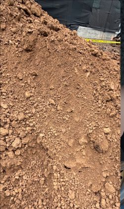 Nice and clean dirt