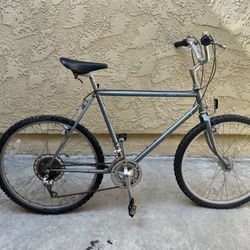 Classic Schwinn Bike