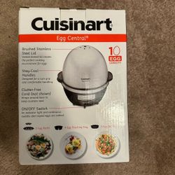 Eggs Steam 