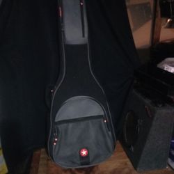 RoadRunner Guitar Case 