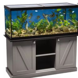 75gallon Fish Tank And Shelf