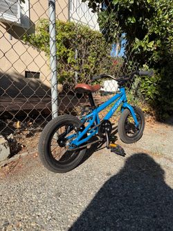 Cleary Gecko 12 bike
