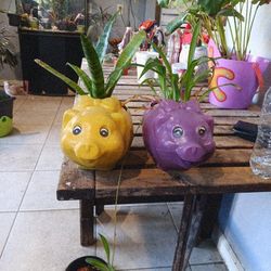 Pig Planter 