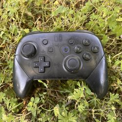 Nintendo Switch Controller
