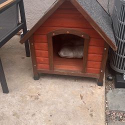 Small Dog House 