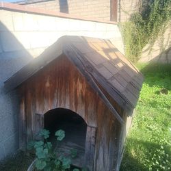 Dog House 