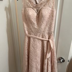 Size 8 Lace Blush Pink Dress 