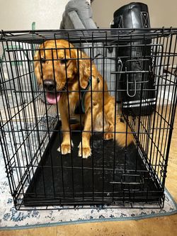 Dog crate