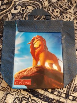 Reusable Disney Lunch Bags + Extras