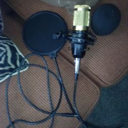 Microphone 