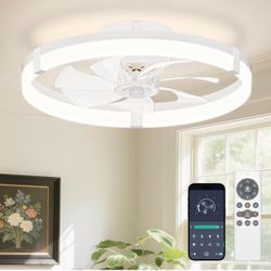 Ceiling Fan With Light 