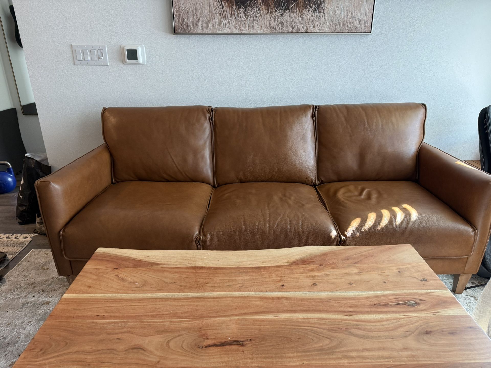 Top Grain Leather Couch