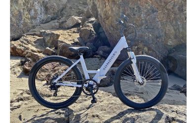 Foldable electric bike