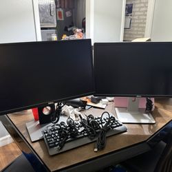 2 Dell Monitors 
