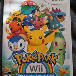 Pokemon Game