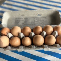 Farm Fresh Eggs