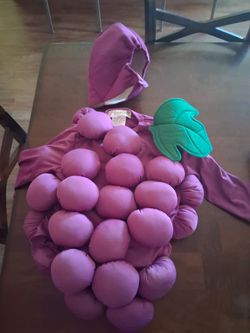 Size 4 Grapes Halloween Costume, 5 bucks!