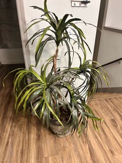 Fake plant