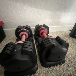 Adjustable Dumbbells