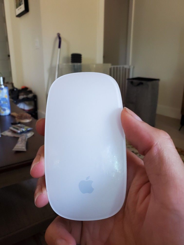 Apple Mouse (older model) 