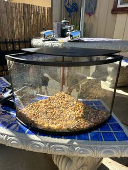 Fish tank