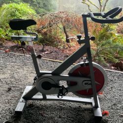Sunny Exercise Bike 