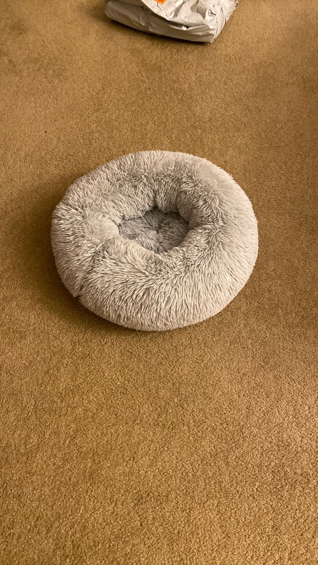 Fluffy Light Blue Cat Bed