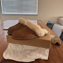 Uggs 
