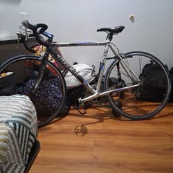Trek Road Bike