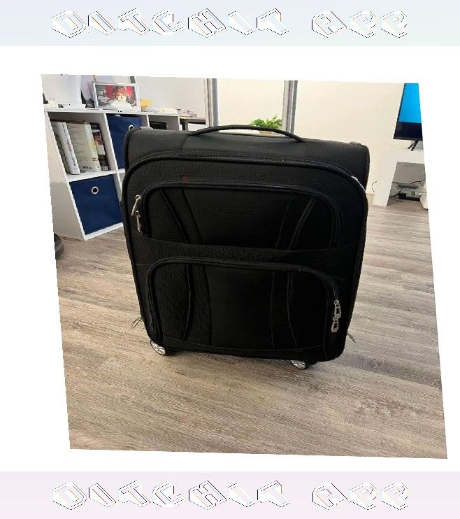 lose deep Explorer's Choice Bags Travel Suitcases That Deliver