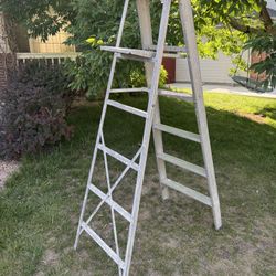 6 Foot Painters Ladder 