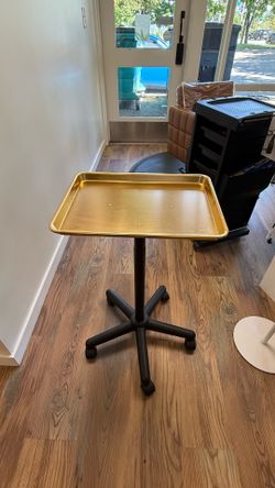 Salon tray trolley