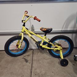 Childs Bike