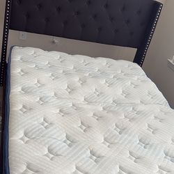 Queen Size Bed and Mattress 
