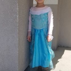 elsa costume