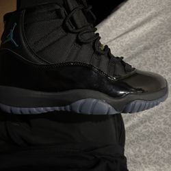 gamma 11s 