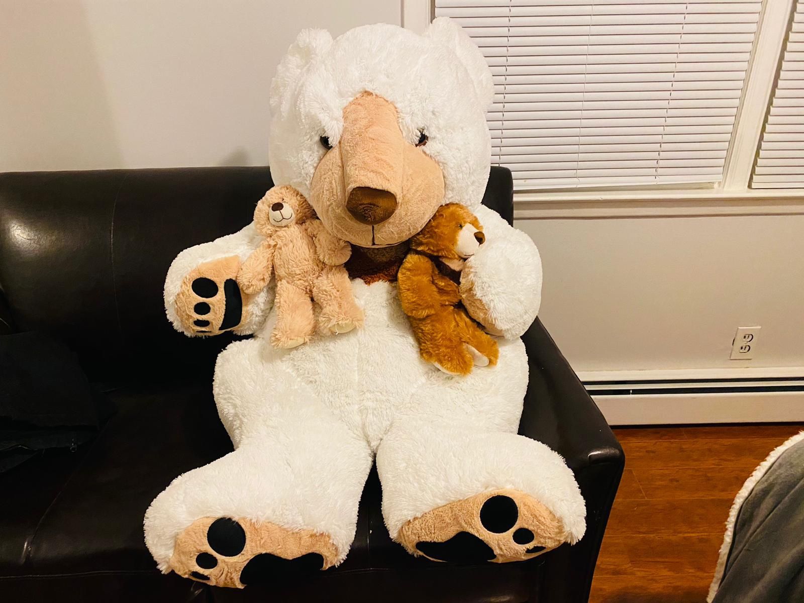 GIANT Life size Bear