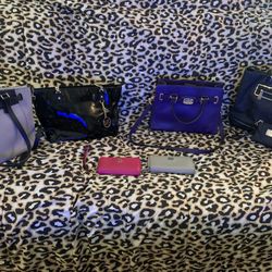 Michael Kors Bags And Clutch Wallets