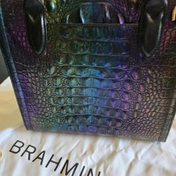 Brahmin like New