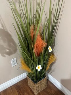Plant decor
