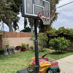 Lifetime Basketball Hoop - Adjustable, Portable