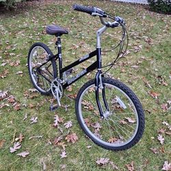 Raleigh SC-30 Sport Comfort 21 Speed Mountain Bike 