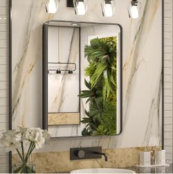 KeonJinn Black Framed Medicine Cabinet