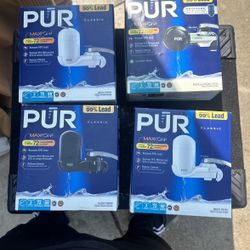 Pur maxion